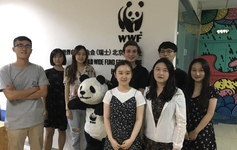 WWF Internship in Beijing